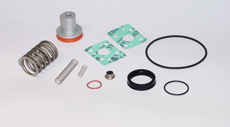 Zestaw serwisowy do zaworu ssącego RENNER nr 10287 Zestaw serwisowy do zaworu ssącego RENNER nr 10287