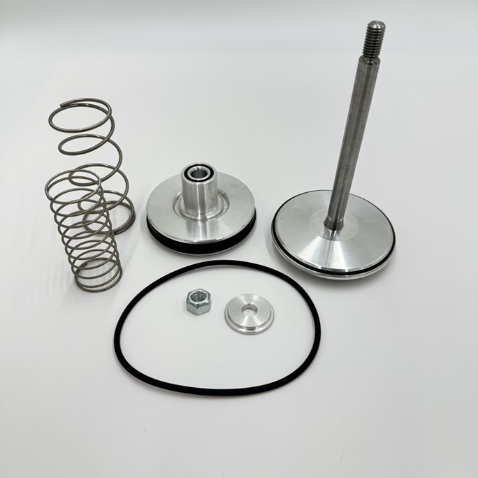 Zestaw serwisowy do zaworu ssącego RENNER nr 30273 Zestaw serwisowy do zaworu ssącego RENNER nr 30273